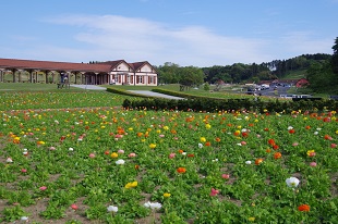 手作りアクセサリーのイメージ